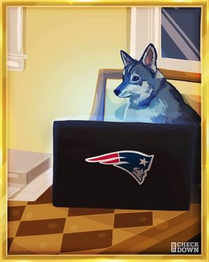 Image post by @nfl on Instagram