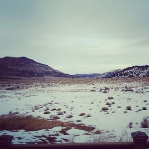 Image post by @grayson_erhard on Instagram