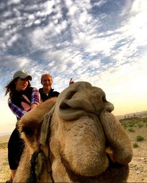 Image post by @birthrightisrael on Instagram