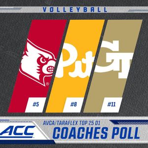 Image post by @accsports on Instagram