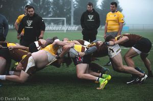 Image post by @sburugby on Instagram