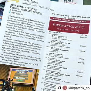 Image post by @thebloodhorse on Instagram