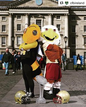 Image post by @bceagles on Instagram