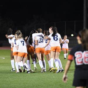 Image post by @fpusunbirds on Instagram