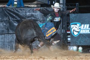 Image post by @ultimatebullfighters on Instagram