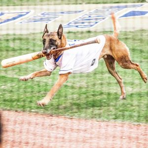 Image post by @lexingtonlegends on Instagram