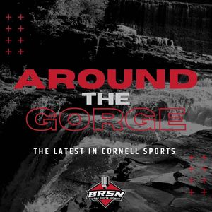 Image post by @cornellbrsn on Instagram