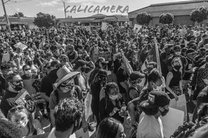 Image post by @calicamera on Instagram