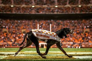 Image post by @vol_photos on Instagram