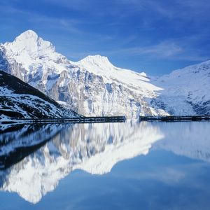 Image post by @discovery on Instagram