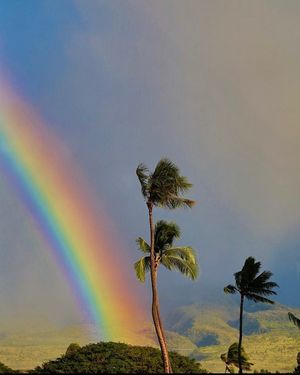 Image post by @olukai on Instagram
