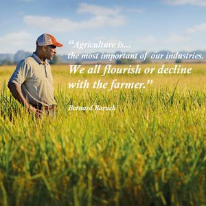 Image post by @farmcredit on Instagram