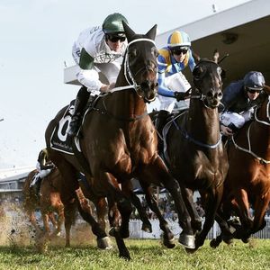 Image post by @australianturfclub on Instagram