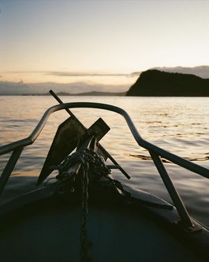 Image post by @cameasler on Instagram