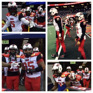 Image post by @jaxsharks on Instagram
