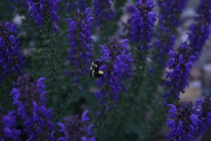 Image post by @adphotography_lab on Instagram