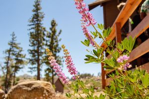 Image post by @djs_photo_lens on Instagram