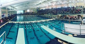 Image post by @ithacaswimdive on Instagram