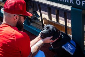 Image post by @Cardinals on Twitter