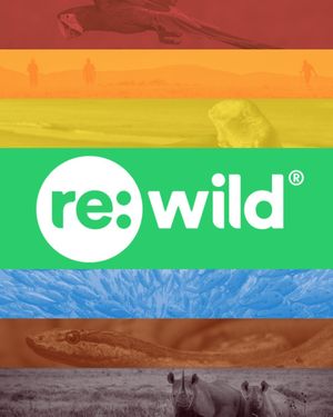 Image post by @rewild on Instagram