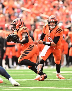 Image post by @bengals on Instagram