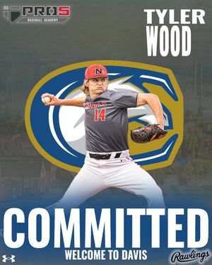 Image post by @PDGABASEBALL on Twitter
