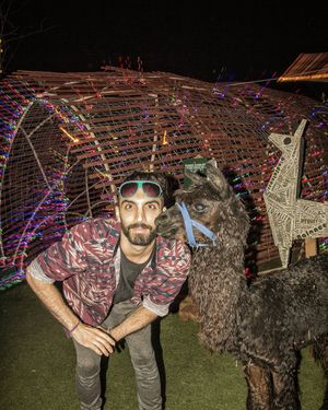 Image post by @magicgiant on Instagram
