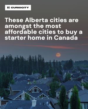 Image post by @curiocitycalgary on Instagram