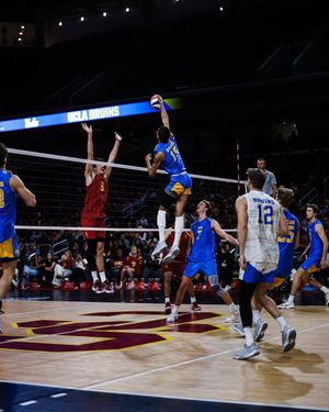 Image post by @uclamvb on Instagram