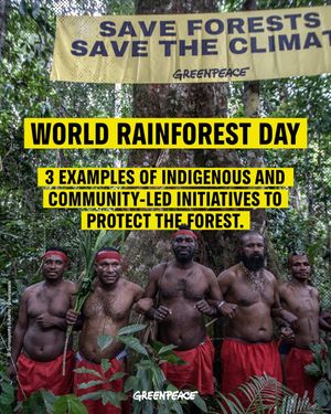 Image post by @greenpeace on Instagram