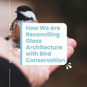 Image post by @featherfriendly on Instagram
