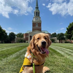 Image post by @wfuniversity on Instagram