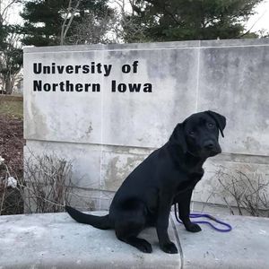 Image post by @barstooluni on Instagram