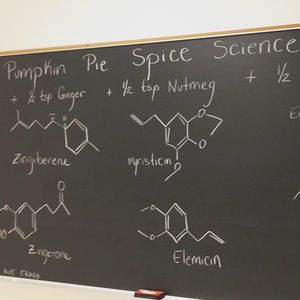 Image post by @csunaturalsciences on Instagram
