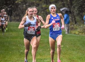 Image post by @dyestat on Instagram