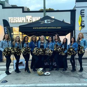 Image post by @panthersifl on Instagram