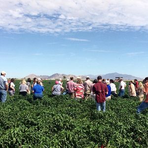 Image post by @farmcredit on Instagram
