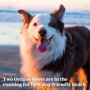Image post by @theoregonian on Instagram