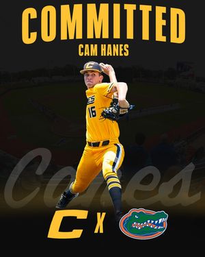 Image post by @thecanesbb on Instagram