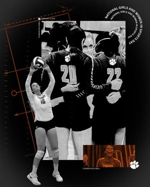 Image post by @clemsonvb on Instagram