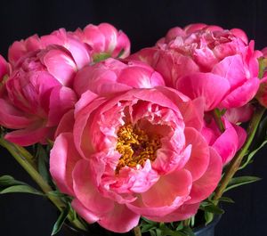 Image post by @bonita_flowers on Instagram