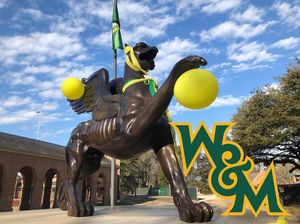 Image post by @tribeathletics on Instagram