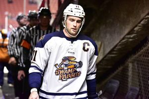Image post by @swamprabbits on Instagram