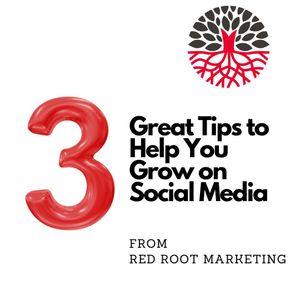 Image post by @redrootmarketing on Instagram