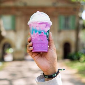 Image post by @collegeofcharleston on Instagram