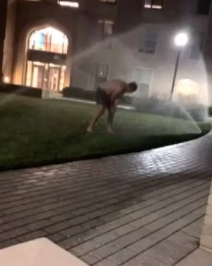Image post by @barstoolxu on Instagram