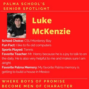 Image post by @palma_school on Instagram