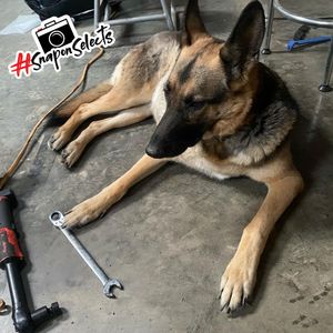 Image post by @snapon_official on Instagram