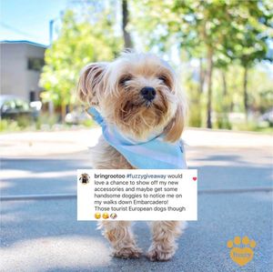 Image post by @yourfuzzy on Instagram