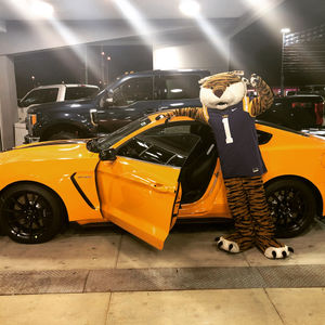 Image post by @lsumiketiger on Instagram